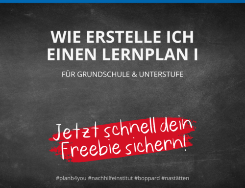 Dein Lernplan für Grundschule & Unterstufe- mit Freebie!